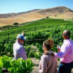 1 small group wine tour to private locations in santa barbara Small-Group Wine Tour to Private Locations in Santa Barbara