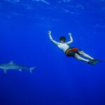 1 snorkel and dive with sharks in hawaii with one ocean diving Snorkel and Dive With Sharks in Hawaii With One Ocean Diving