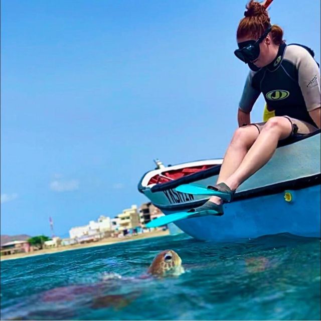 Snorkel and Swim With Sea Turtles