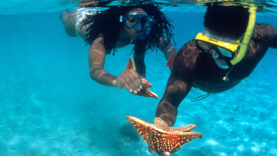 1 snorkeling activity with boat ride in montego bay Snorkeling Activity With Boat Ride in Montego Bay