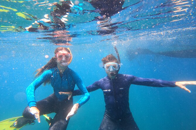 Snorkeling and Boat Tour in a Turtle Area