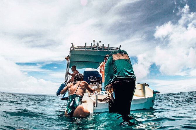 Snorkeling Tour in Caño Island With Lunch