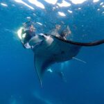 1 snorkeling with manta rays in nusa penida experience all inclusive Snorkeling With Manta Rays in Nusa Penida Experience (All-Inclusive)