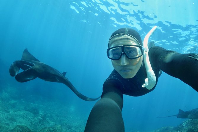 Snorkelling in Nusa Penida – Manta Point