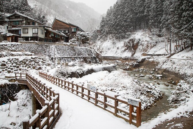 1 snow monkey zenko ji temple sake in nagano tour Snow Monkey, Zenko Ji Temple, Sake in Nagano Tour