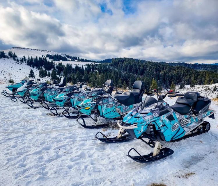Snowmobile Tour In Bucegi Mountains