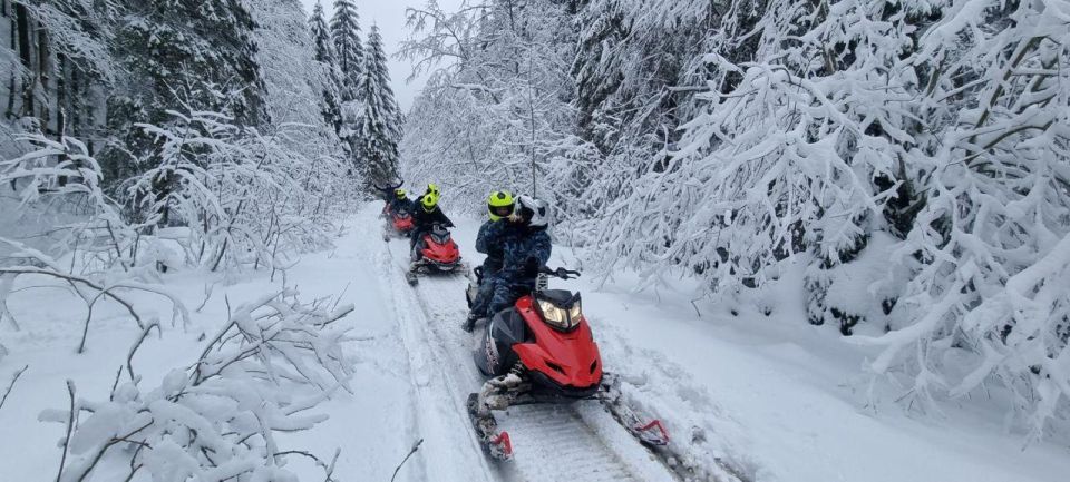SnowMobiles Tour in Carpathian Mountains - Key Points