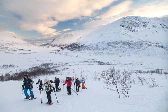 Snowshoe Hike on Whale Island in Tromso