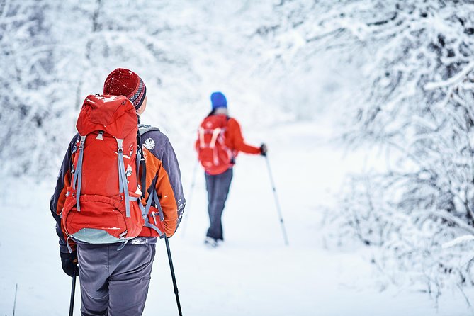 Snowshoes Hike in Lofoten