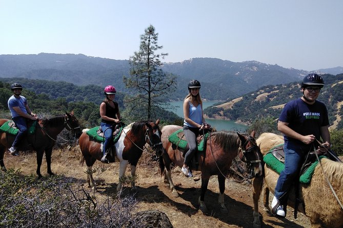 1 sonoma horseback riding tour Sonoma Horseback-Riding Tour