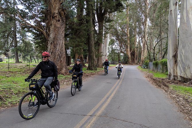 Sonoma Valley Pedal Assist or Standard Bike Tour With Lunch