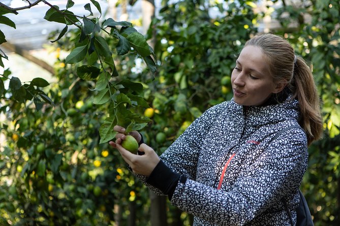 Sorrento Farm Experience With Pizza, Cheese Making and Limoncello