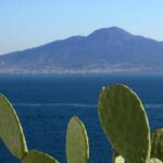 1 sorrento small group sightseeing and food tour Sorrento Small-Group Sightseeing and Food Tour