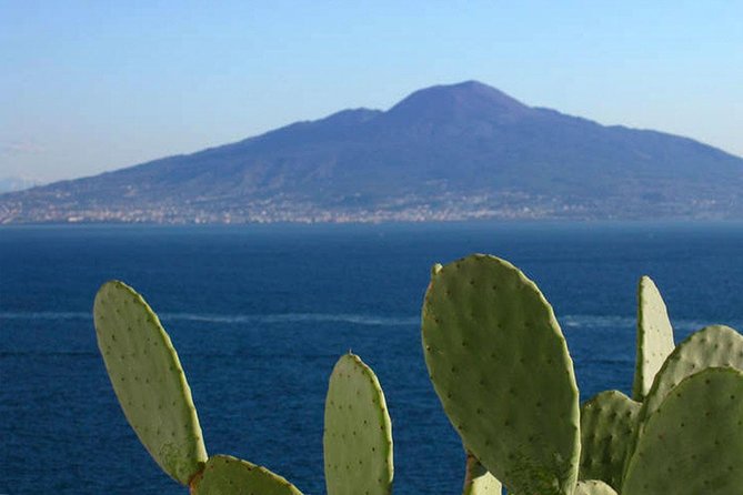 Sorrento Small-Group Sightseeing and Food Tour