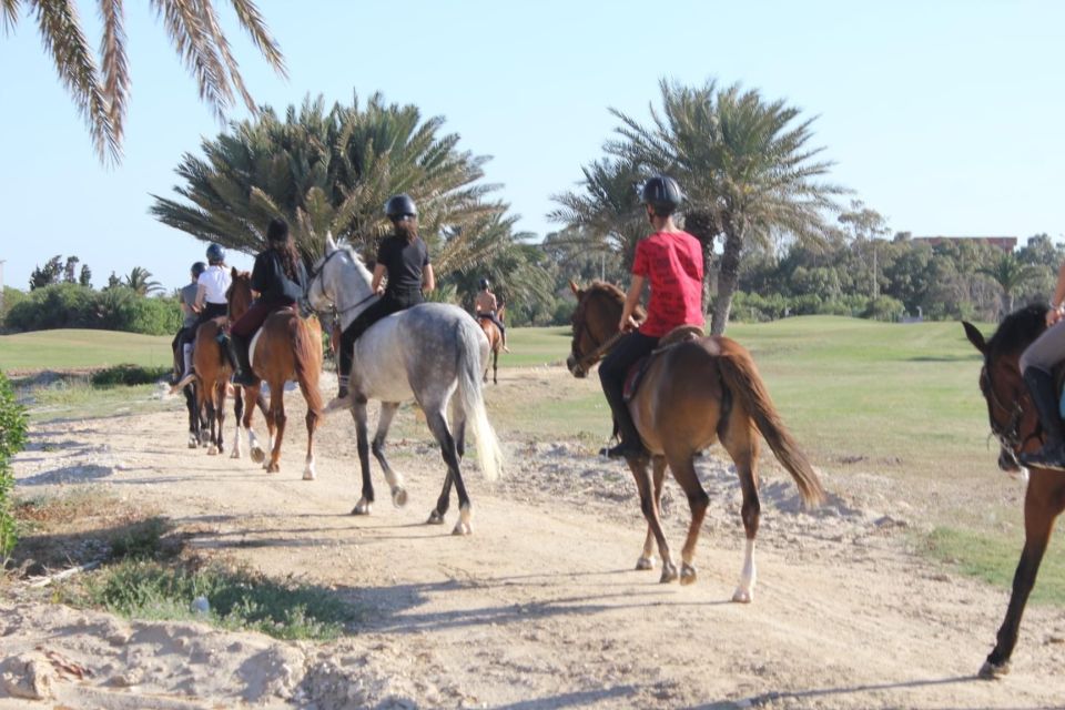 1 sousse monastir private horseback riding trip with transfer Sousse/Monastir: Private Horseback Riding Trip With Transfer