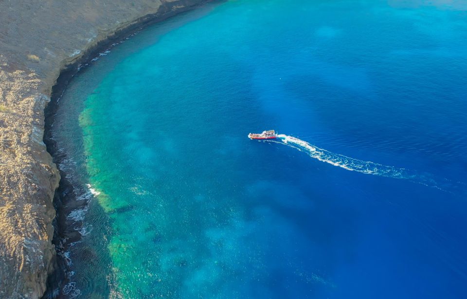 1 south maui molokini crater and turtle town snorkeling trip South Maui: Molokini Crater and Turtle Town Snorkeling Trip