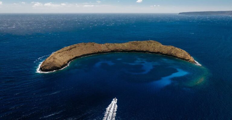 South Maui: Molokini Volcanic Crater Snorkeling Cruise