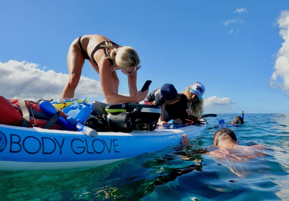 South Maui: Snorkeling Tour for Non-Swimmers in Wailea Beach