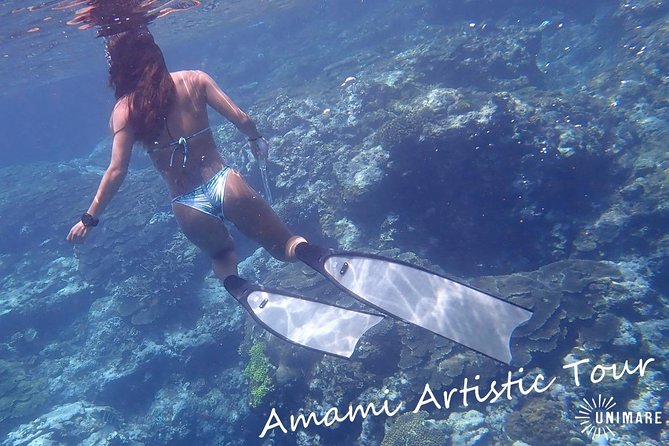 1 spectacular amami skin diving tour explore the paradise of skin diving half day or full day Spectacular Amami Skin Diving Tour: Explore the Paradise of Skin Diving! (Half Day or Full Day)