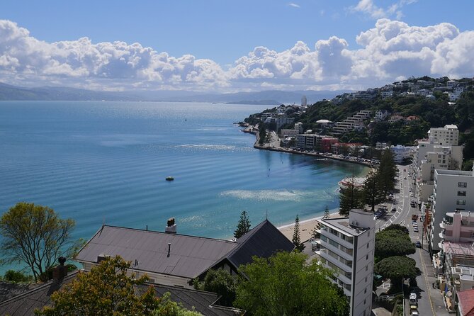 Spectacular Wellington: Half Day Private Sightseeing Tour