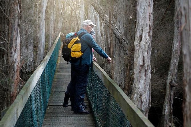Spend a Day in One of Tasmanias Best Wildlife National Parks