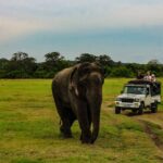 1 sri lanka 3 day tour ancient temples wildlife hill country Sri Lanka 3-Day Tour Ancient Temples, Wildlife, Hill Country
