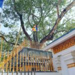 1 sri lanka ten days historical sightseeing tour Sri Lanka Ten Days Historical Sightseeing Tour