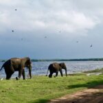 1 sri lanka yala national park safari tour Sri Lanka: Yala National Park Safari Tour