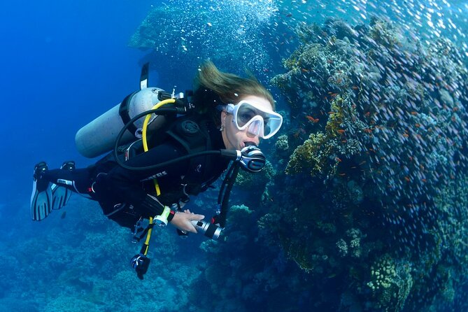 SSI Open Water Diver Course in Tenerife