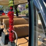 1 st augustine shared golf cart tour St Augustine Shared Golf Cart Tour