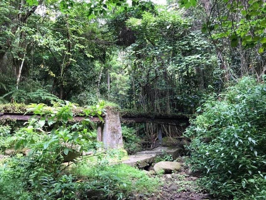 1 st kitts rainforest eco adventure guided hike St. Kitts: Rainforest Eco Adventure Guided Hike