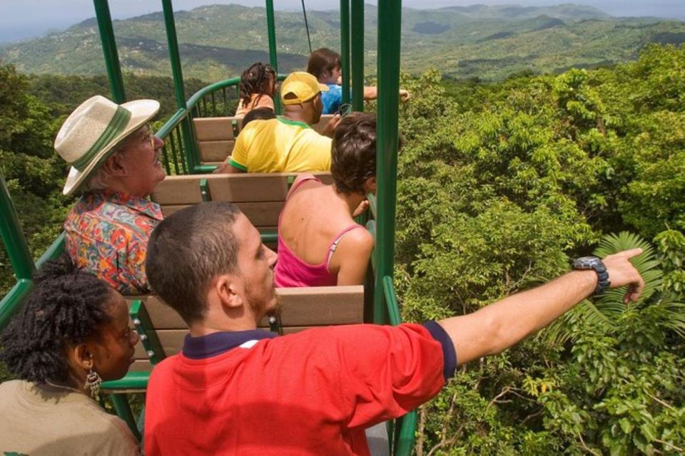 1 st lucia zip line aerial tram and hiking tour St. Lucia: Zip Line, Aerial Tram, and Hiking Tour