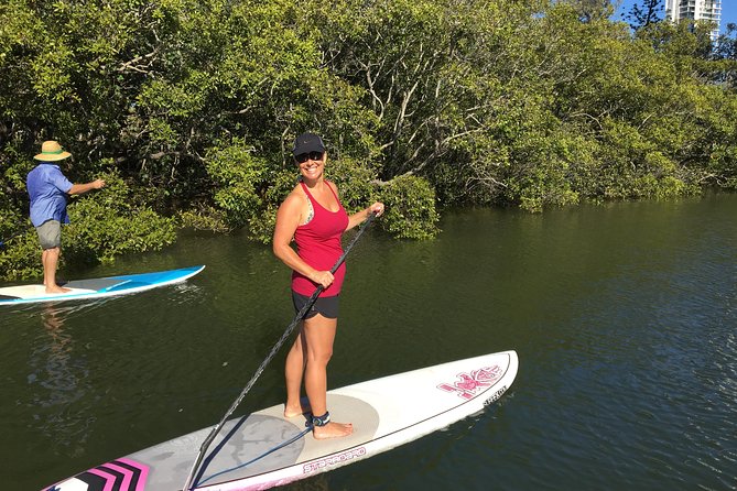 Stand up Paddle Hire