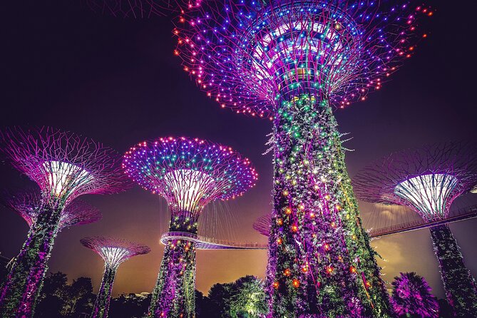 Starry Night Singapore Tour Roundtrip Transfers