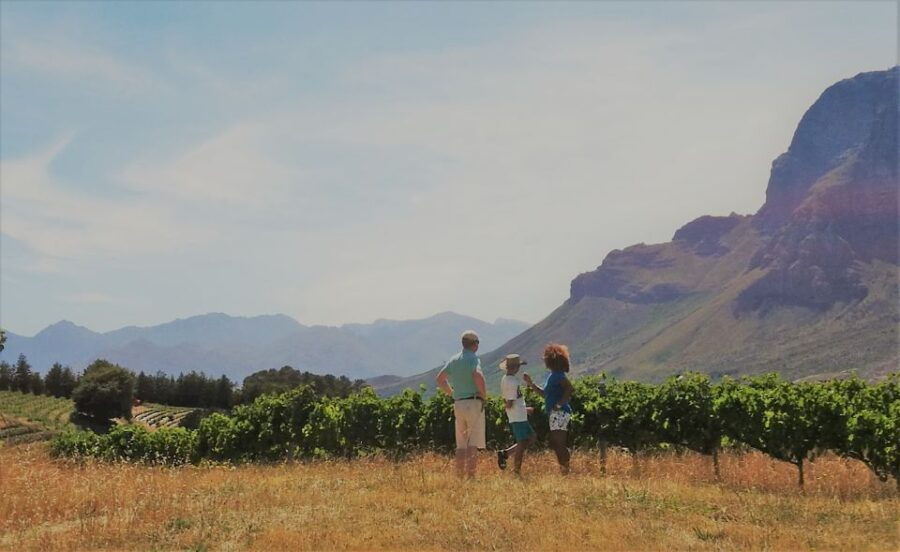 Stellenbosch: 4×4 Winelands Private Experience