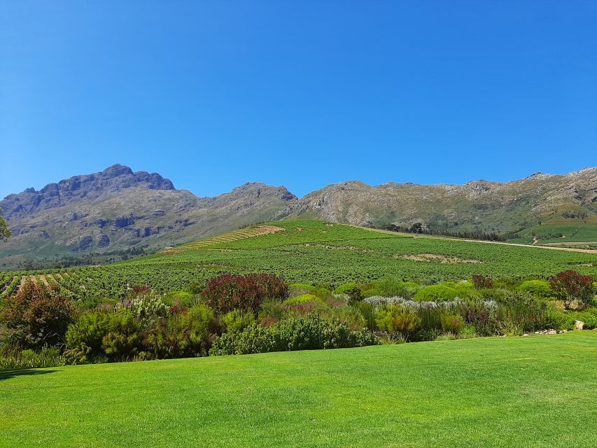 1 stellenbosch best of the winelands private tour tastings Stellenbosch: Best of the Winelands Private Tour & Tastings