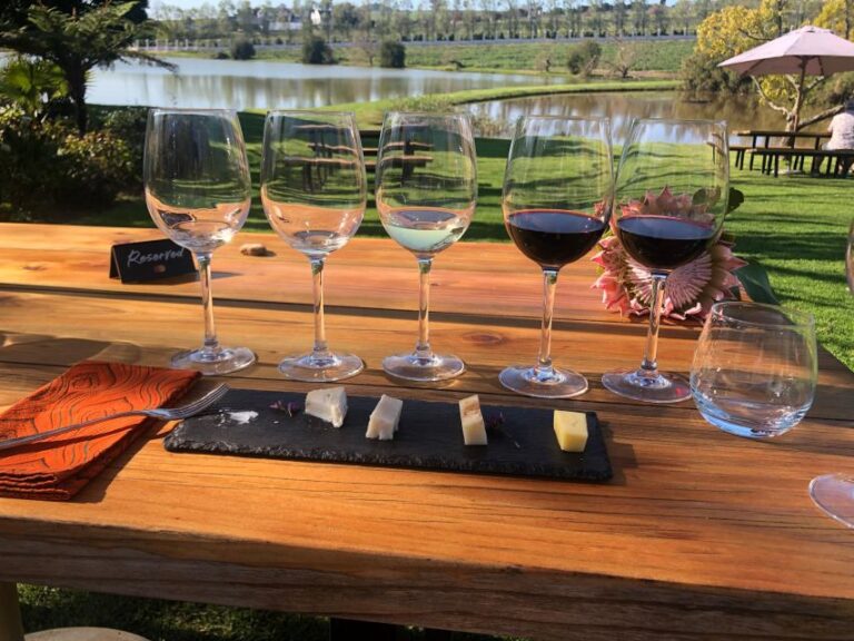 Stellenbosch: Daily Diffirent Small Group Full Day Wine Tour