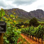 1 stellenbosch exclusive wine tour blend bottle own wine Stellenbosch: Exclusive Wine Tour - Blend & Bottle Own Wine
