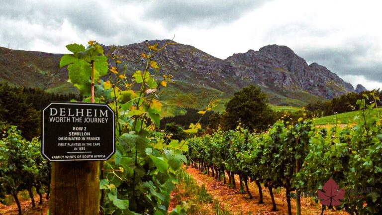 Stellenbosch: Exclusive Wine Tour – Blend & Bottle Own Wine