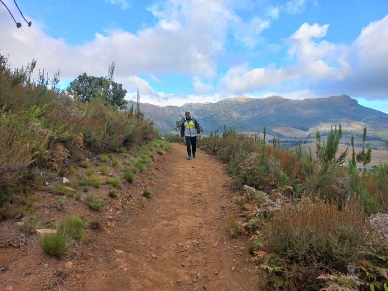 Stellenbosch: Half-Day Guided Nature Hike and Wine Tasting