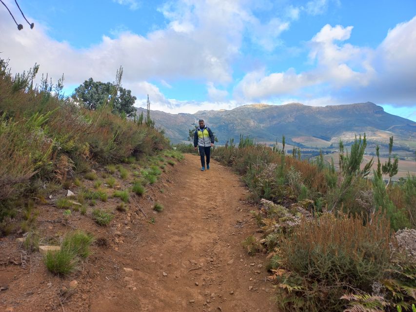 1 stellenbosch half day guided nature hike and wine tasting Stellenbosch: Half-Day Guided Nature Hike and Wine Tasting
