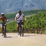 1 stellenbosch wine farm e bike guided tour Stellenbosch: Wine Farm E-Bike Guided Tour