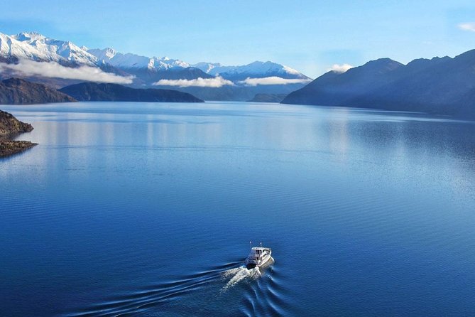 Stevensons Island Cruise and Nature Walk From Wanaka