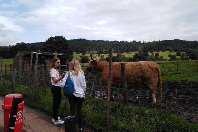 Stirling Castle, Hairy Coos & The Trossachs