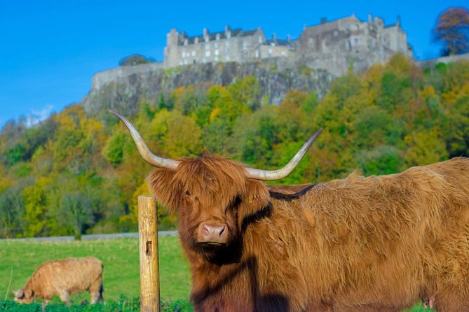Stirling Castle,Trossachs National and Loch Lomond Day Tour From Edinburgh