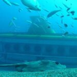 1 submarine safaris lanzarote Submarine Safaris Lanzarote