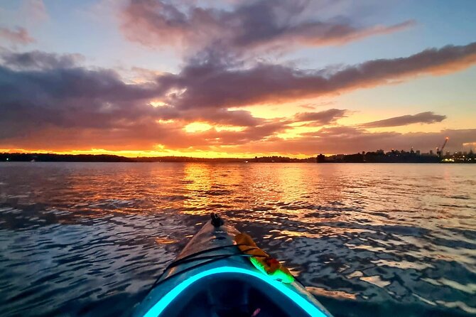 1 sunrise paddle session on syndey harbour Sunrise Paddle Session on Syndey Harbour