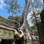 1 sunrise shared tour in angkor from siem reap Sunrise Shared Tour in Angkor From Siem Reap