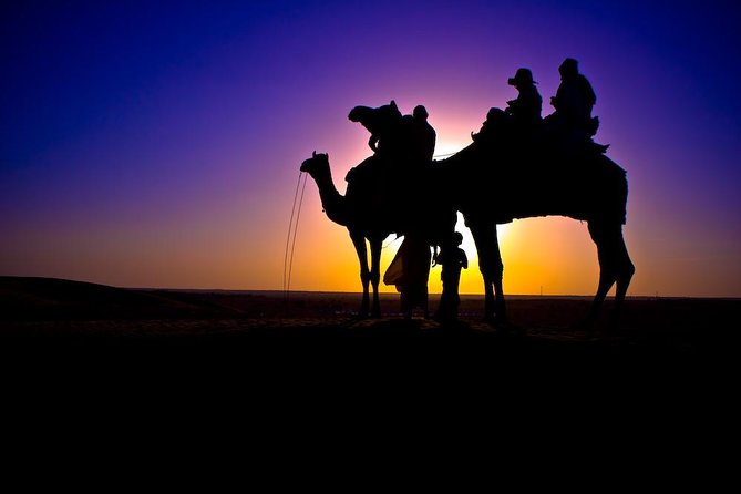 Sunset Camel Ride in Agadir or Taghazout With Transfers