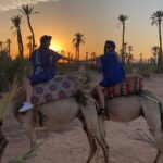 1 sunset camel ride in the palm grove of marrakech Sunset Camel Ride in the Palm Grove of Marrakech